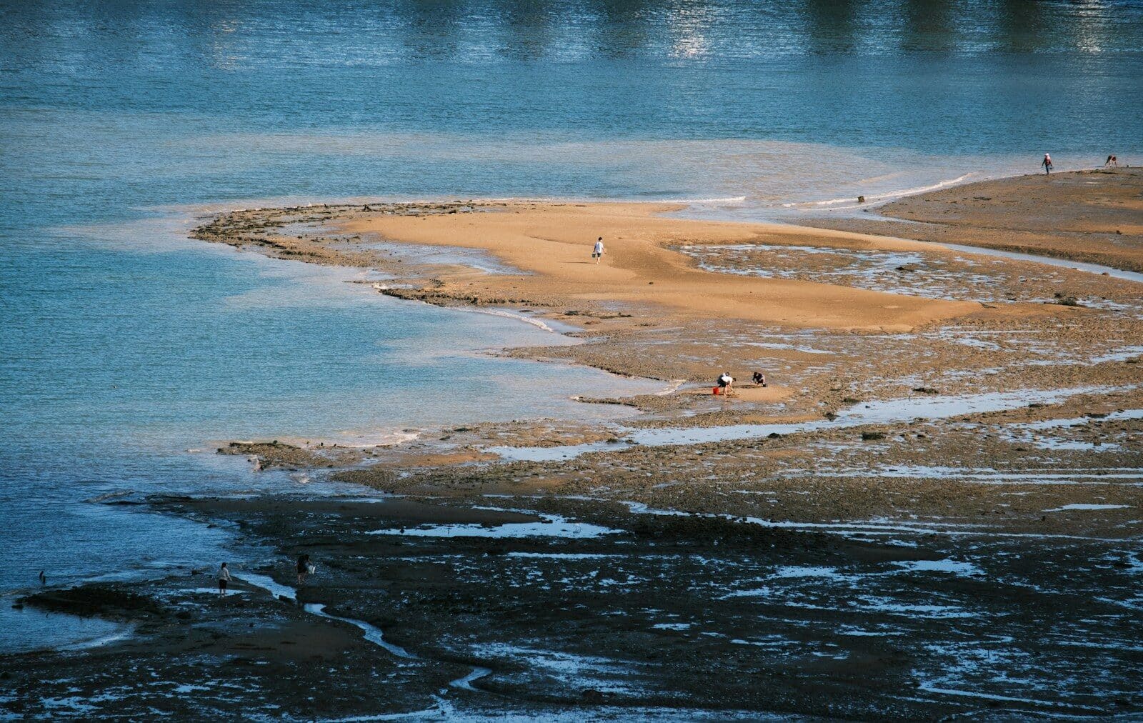 Small shorebirds gather on a sandbar exposed at low tide on a North Carolina beach