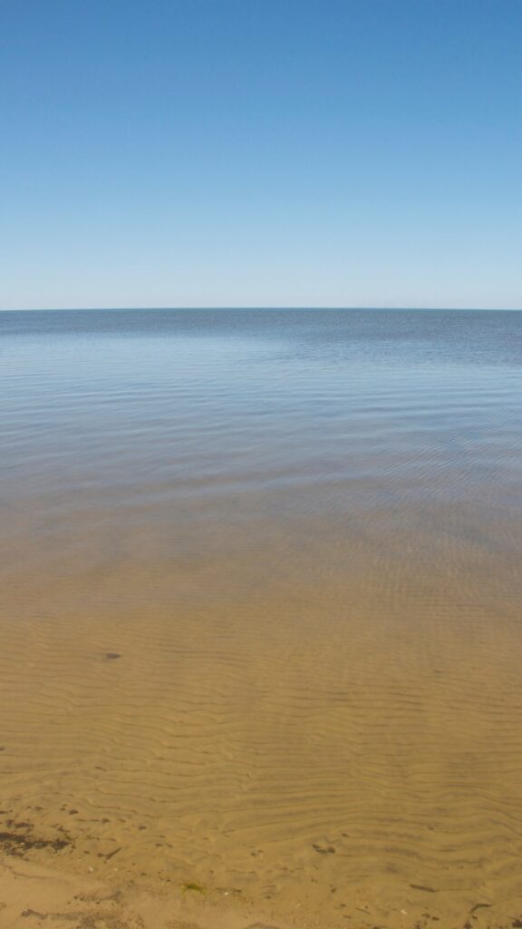 Glassy, shallow sound water stretching to the horizon on a windless day.
