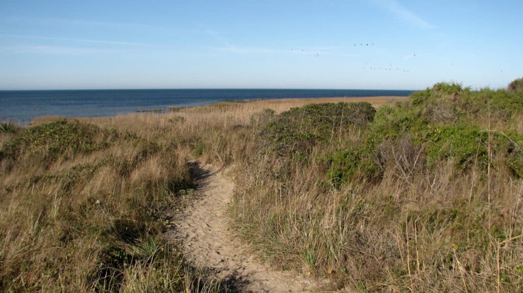 A sandy footpath through low shrubs opening onto the calm water of the sound.